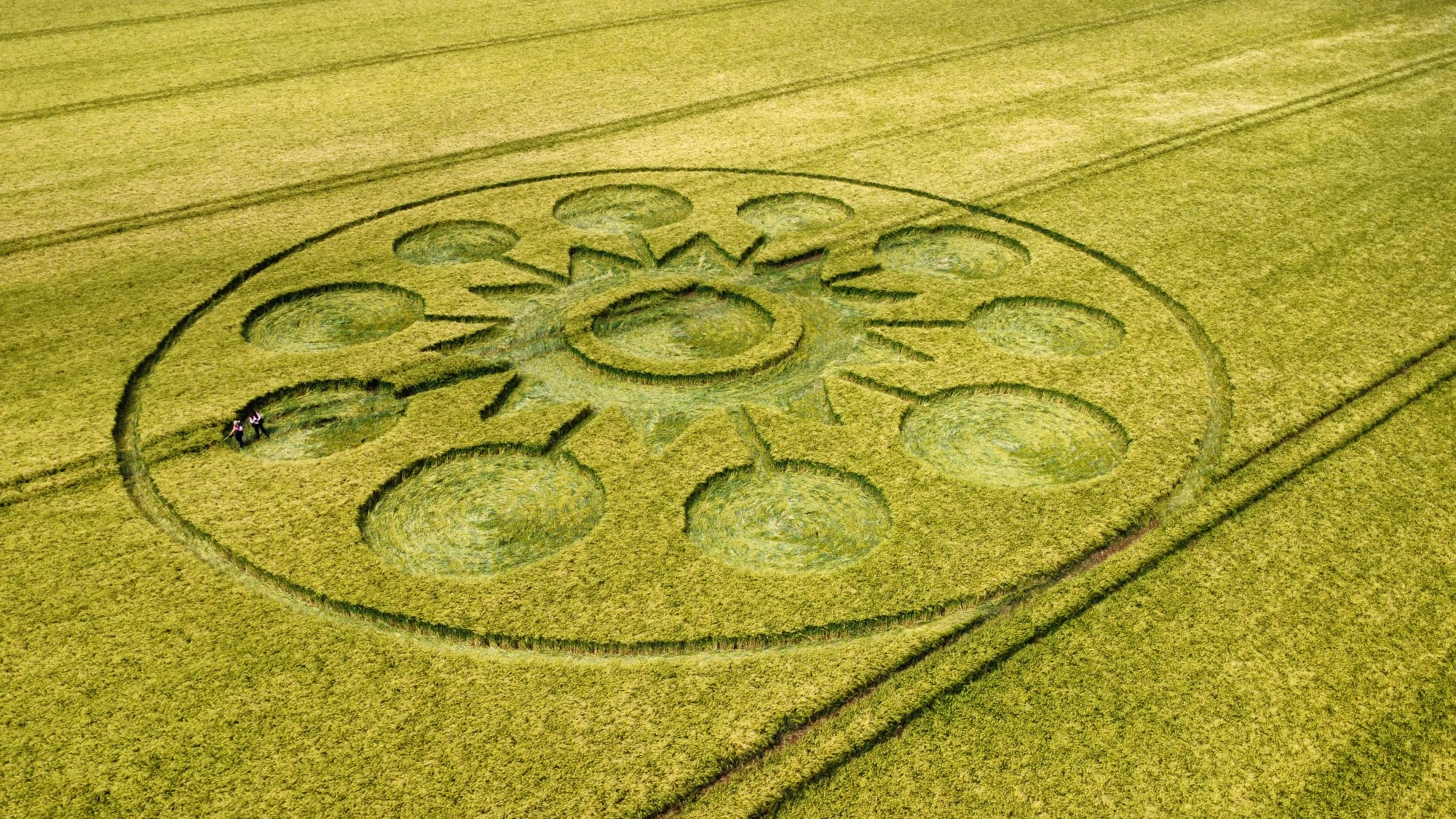 Crop Circle – Near Wimbourne, Dorset, UK (April 11, 2025)