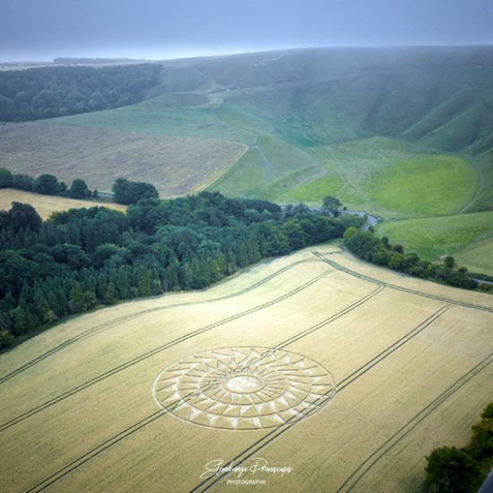 Crop Circle – Unknown Location (August 08, 2020)