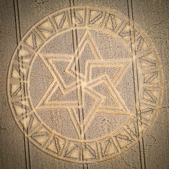 Crop Circle – Kitt’s Lane, Nr West Meon, Hampshire Hampshire, UK (August 08, 2021)