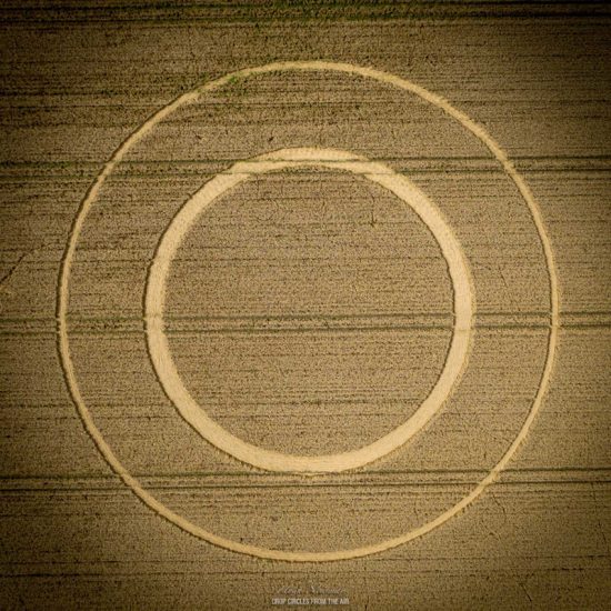 Crop Circle – Roman Road, Nr Marten, Wiltshire, UK (August 08, 2021)