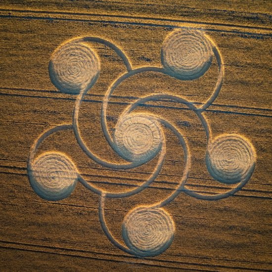 Crop Circle – Etchilhampton Hill, Wiltshire, UKGoogle Maps (August 08, 2022)