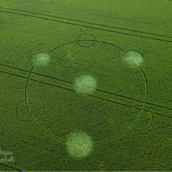 Crop Circle – Unknown Location (August 09, 2025)