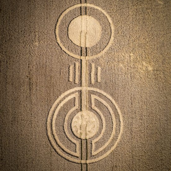 Crop Circle – Watership Down, near Sydmonton, Hampshire, UK (August 11, 2021)