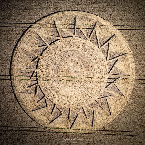 Crop Circle – Roundway Hill, near Devizes, Wiltshire, UK (August 15, 2021)