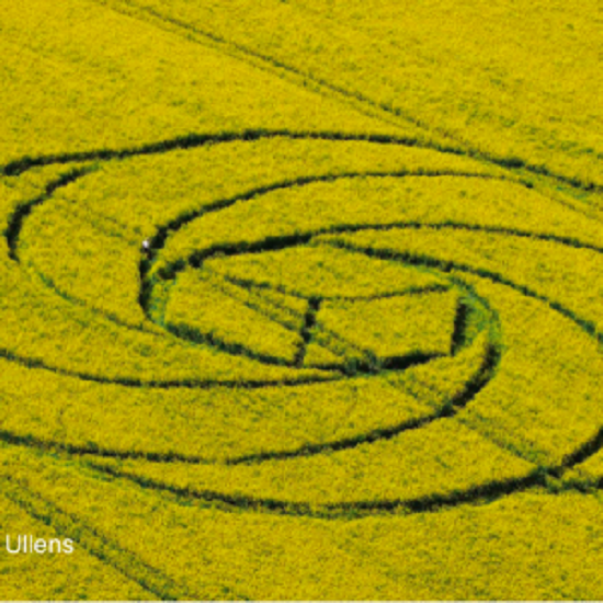 Crop Circle – Unknown Location (August 27, 2016)
