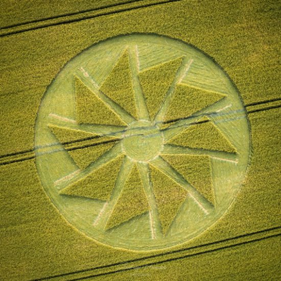 Crop Circle – Near Micheldever Station, Hampshire, UKMap: SU5033243058 (July 03, 2022)
