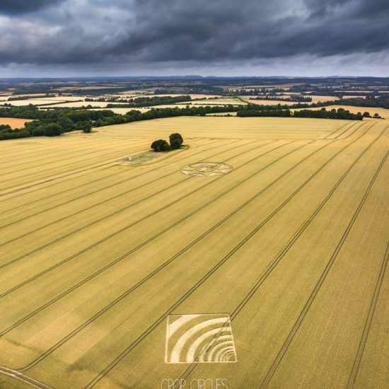 Crop Circle – Chillandham Lane, Near Winchester, Hampshire, UKLocation: SU5230736412 (July 04, 2023)