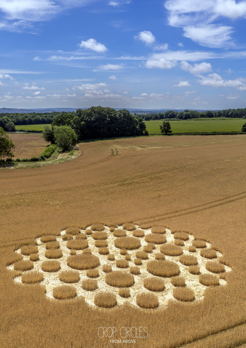 Crop Circle – Zeals Knoll, near Mere, Wiltshire, UK (July 05, 2026)
