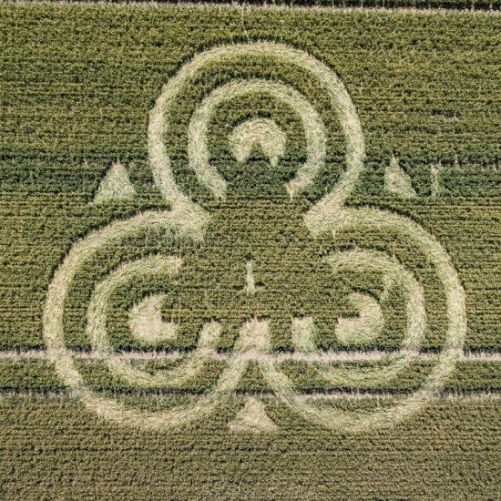 Crop Circle – Unknown Location (July 07, 2020)