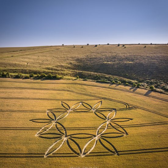 Crop Circle – Norton Plantation, near Norton Bavant, Wiltshire, UKLocation: ST9137443615 (July 07, 2023)