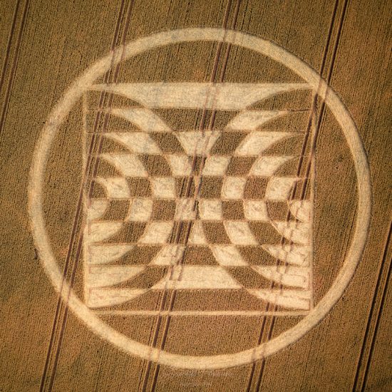 Crop Circle – Cake Wood, Near Froxfield, Wiltshire, UKMap: SU2950268942 (July 09, 2022)