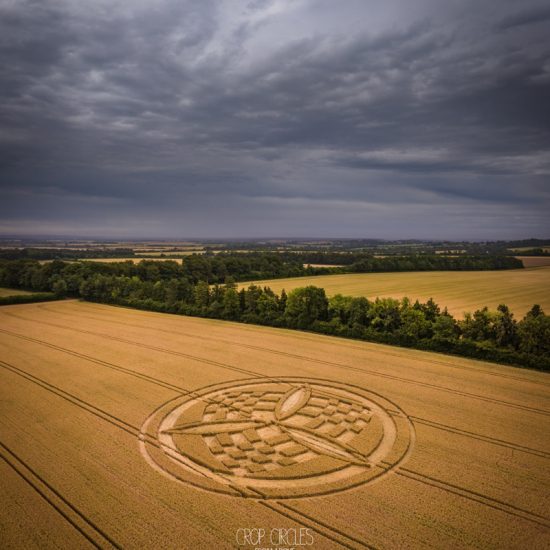 Crop Circle – Barton Stacey Belt, near South Wonston, Hampshire, UKLocation: SU4430237075 (July 09, 2023)