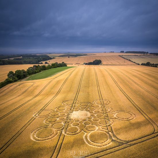 Crop Circle – Lane End Down, near Beauworth, Hampshire, UKLocation: SU5482326159 (July 09, 2023)