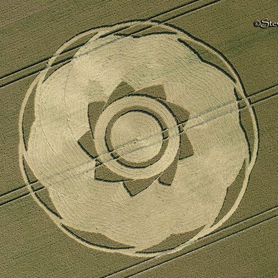 Crop Circle – Unknown Location (July 10, 2018)