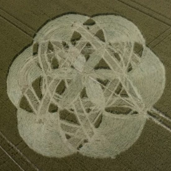 Crop Circle – Unknown Location (July 11, 2020)