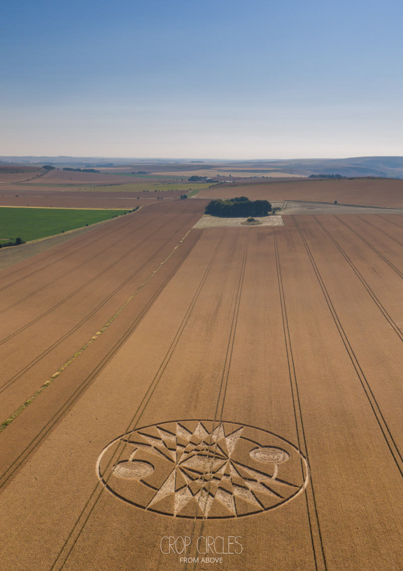 Crop Circle – Roundway Hill, Nr Devizes, Wiltshire, UK (July 11, 2026)