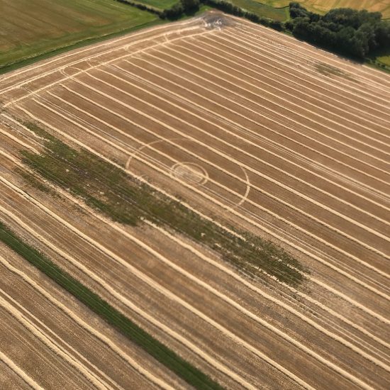 Crop Circle – Unknown Location (July 12, 2020)