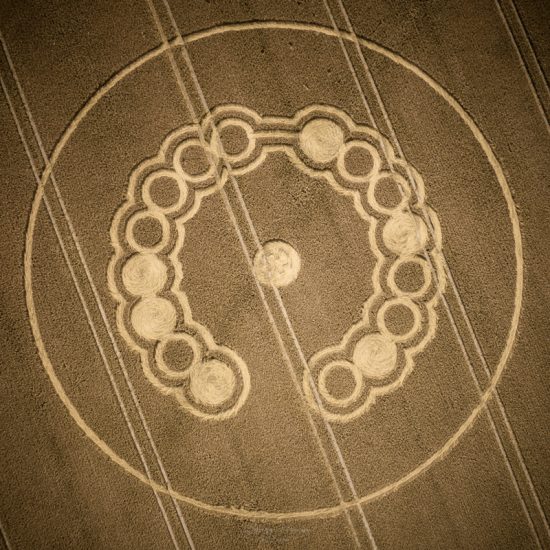 Crop Circle – Lay Wood, Nr Devizes, Wiltshire, UKGoogle Maps (July 14, 2022)