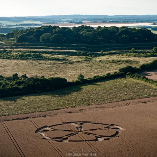 Crop Circle – Near Stonehenge, Wiltshire, UKLocation: (July 14, 2024)