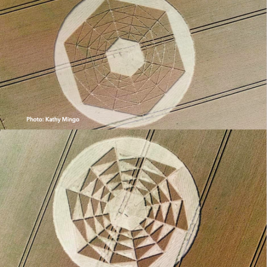 Crop Circle – Unknown Location (July 17, 2022)