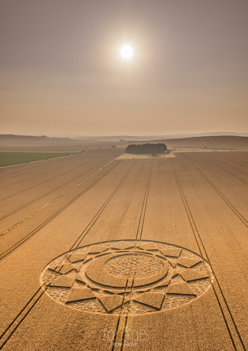 Crop Circle – Roundway Hill, Nr Devizes, Wiltshire, UK (July 18, 2026)