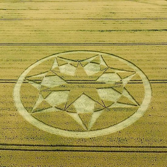 Crop Circle – Badbury Rings, Dorset, UK (July 19, 2024)