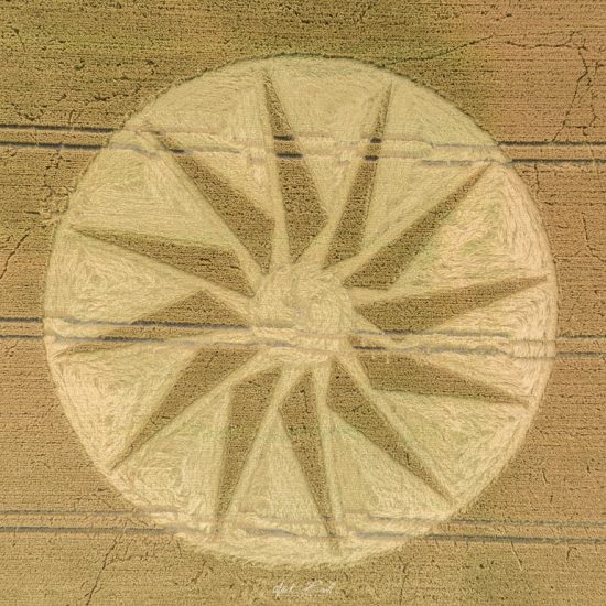Crop Circle – Unknown Location (July 20, 2019)