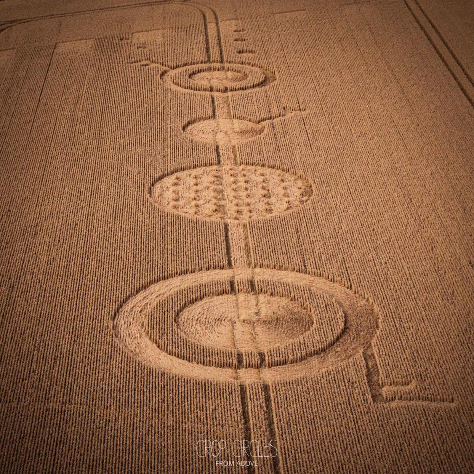Crop Circle – Wanborough Plain, Nr Liddington, Wiltshire, UK (July 21, 2026)