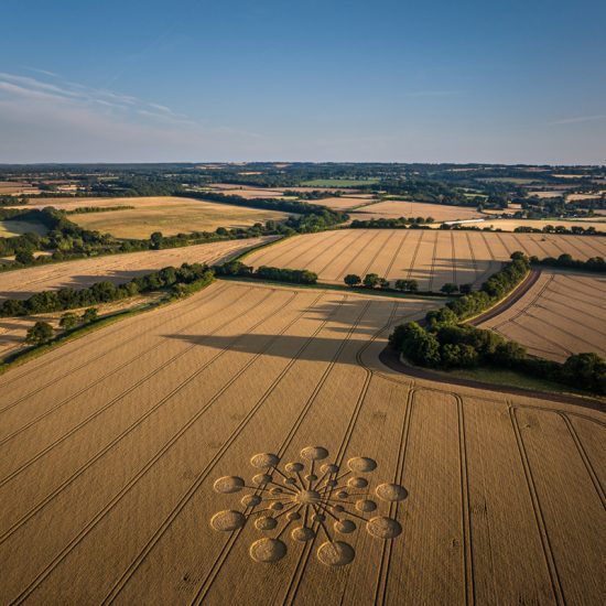 Crop Circle – Hatherden Lane, Near Charlton, Hampshire, UKClick for Location: SU3451848654 (July 25, 2023)
