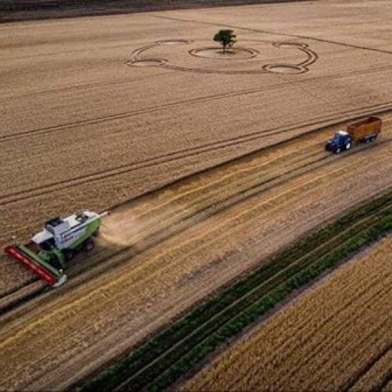 Crop Circle – Etchilhampton, near Mixon, WILTSHIRE, UK (July 26, 2020)