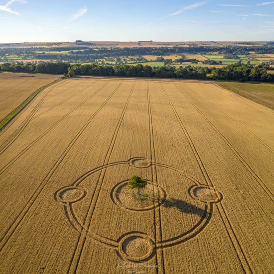 Crop Circle – Yarnbury Castle, Near Winterbourne Stoke, WILTSHIRE, UK (July 26, 2020)