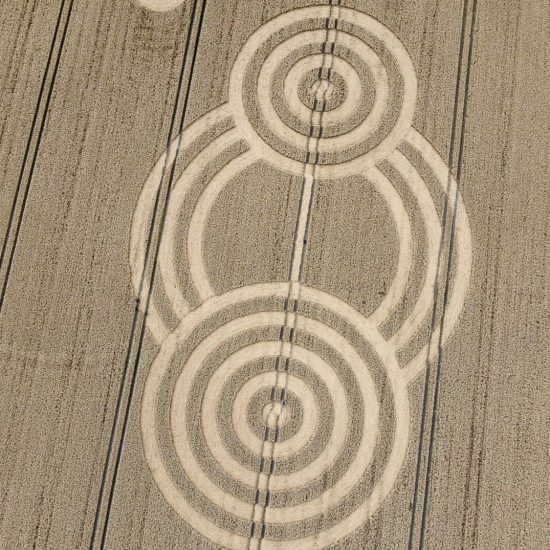 Crop Circle – Tawsmead Copse, Wiltshire, UKGoogle Maps (July 28, 2022)