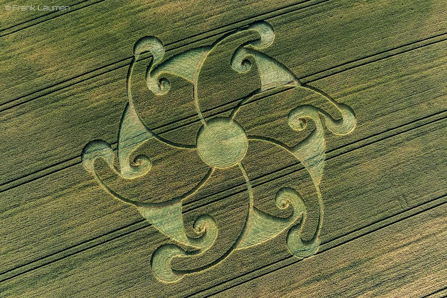 Crop Circle – Stoke Charity, Nr Sutton Scotney, Hampshire, UK (July 28, 2024)