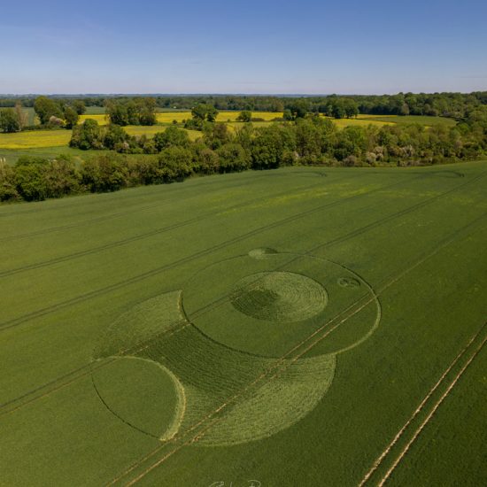 Crop Circle – Crawley Down, near South Wonston, Hampshire, UK (June 08, 2021)