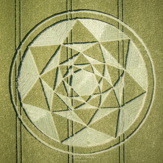 Crop Circle – Mud Lane, Nr Wooton Rivers, WILTSHIRE, UK (June 09, 2021)