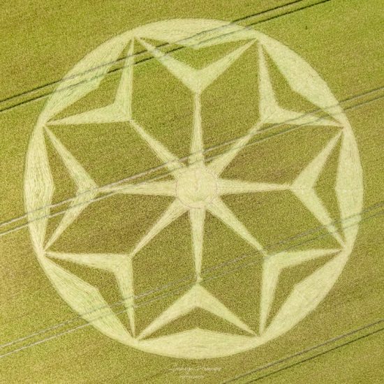 Crop Circle – Shaw Hill, near Ludgershall, WILTSHIRE, UK (June 09, 2021)