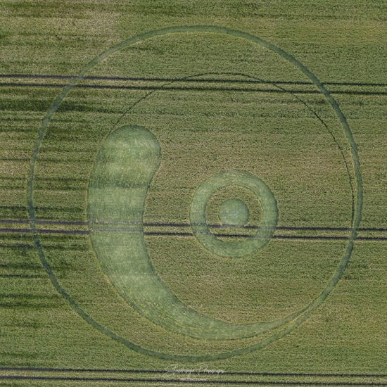 Crop Circle – Unknown Location (June 11, 2020)