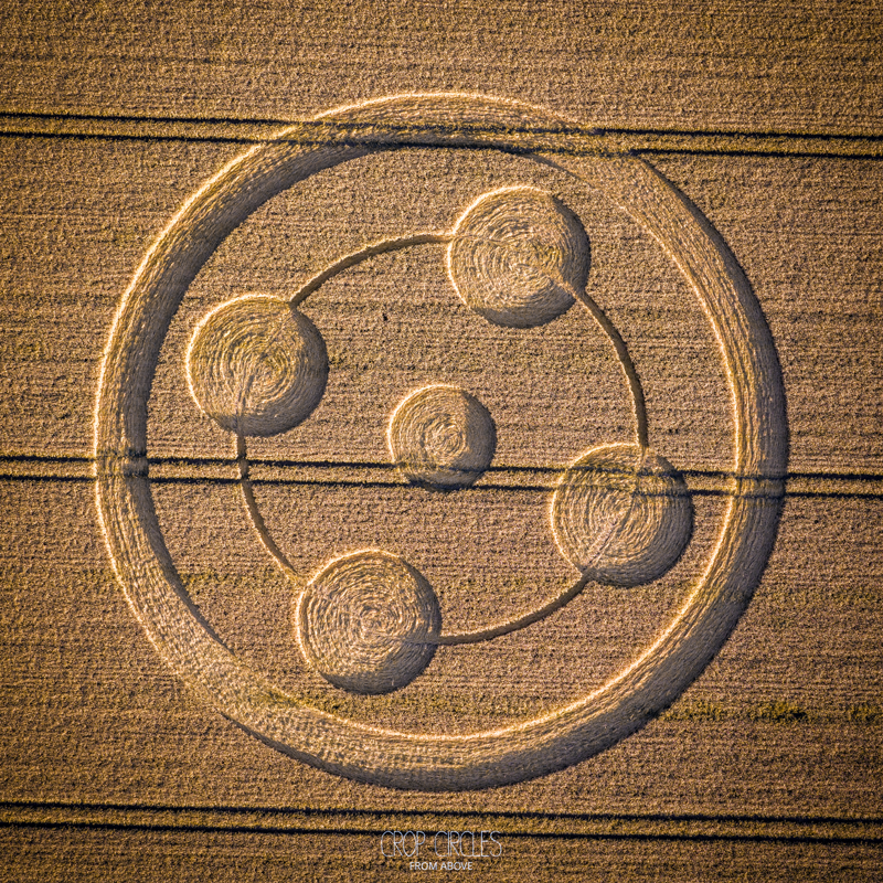 Crop Circle – Edmund Hill, near Ilchester, Somerset, UK (June 15, 2025)