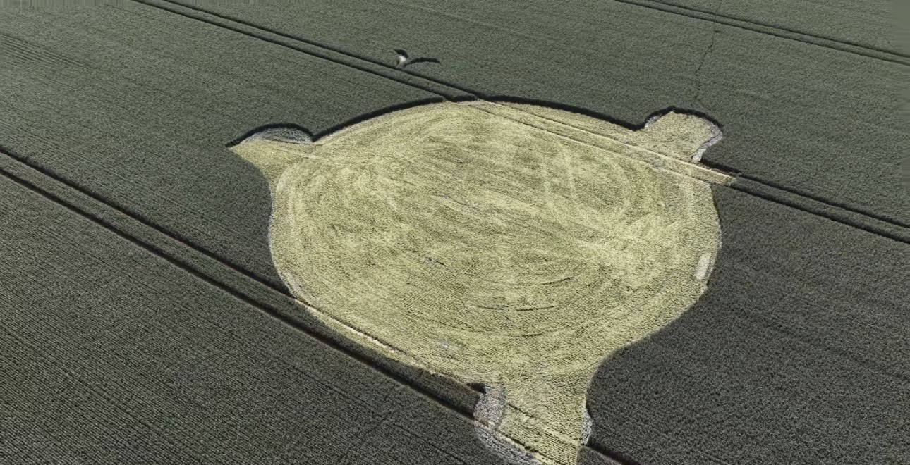 Crop Circle – Grovely Wood, First Broad Drive, Nr Wilton, Wiltshire, UK (June 15, 2026)