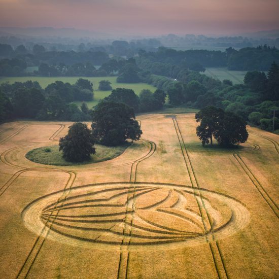 Crop Circle – The farmer is asking for donations to help offset some of the loss of his crops. Please donate generouslyBischopstrow, Near Warminster, Wiltshire, UKLocation: ST8949843279Via what3words: admire.instincts.asteroid (June 18, 2023)