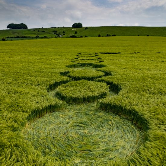 Crop Circle – Near Hackpen Hill Horse, Wiltshire, UK Map: SU1300474445 (June 19, 2022)