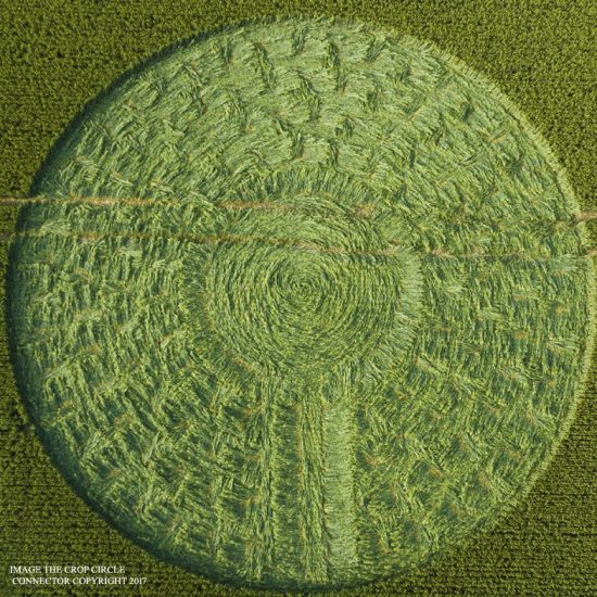 Crop Circle – Unknown Location (June 21, 2017)