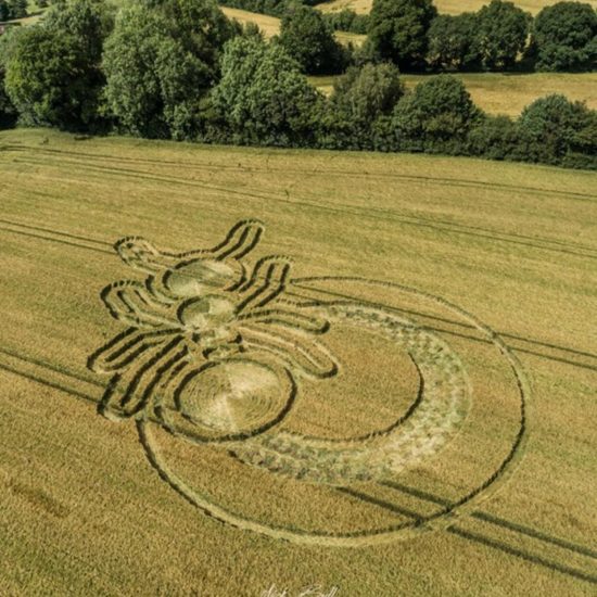 Crop Circle – Unknown Location (June 21, 2019)