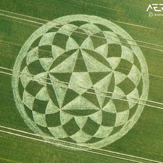 Crop Circle – Unknown Location (June 21, 2020)