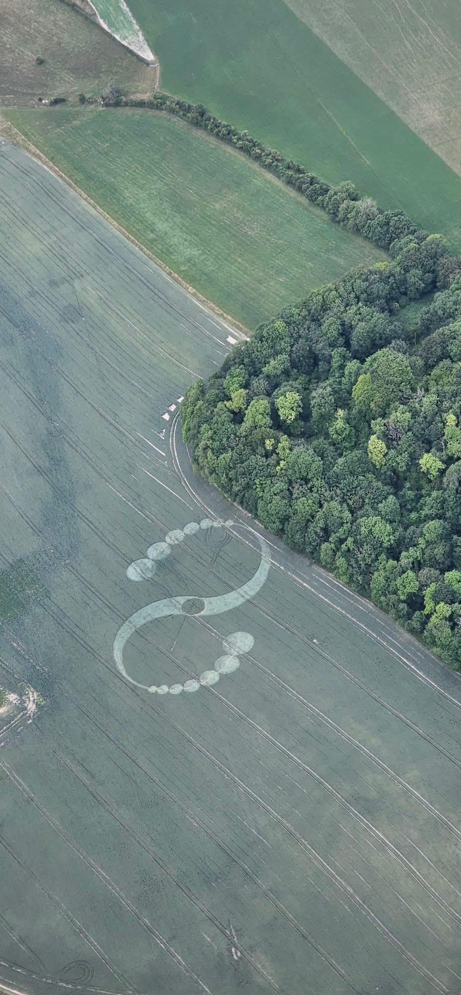 Crop Circle – Hackpen Hill White Horse, Near Winterbourne Bassett, Wiltshire, UK (June 22, 2025)