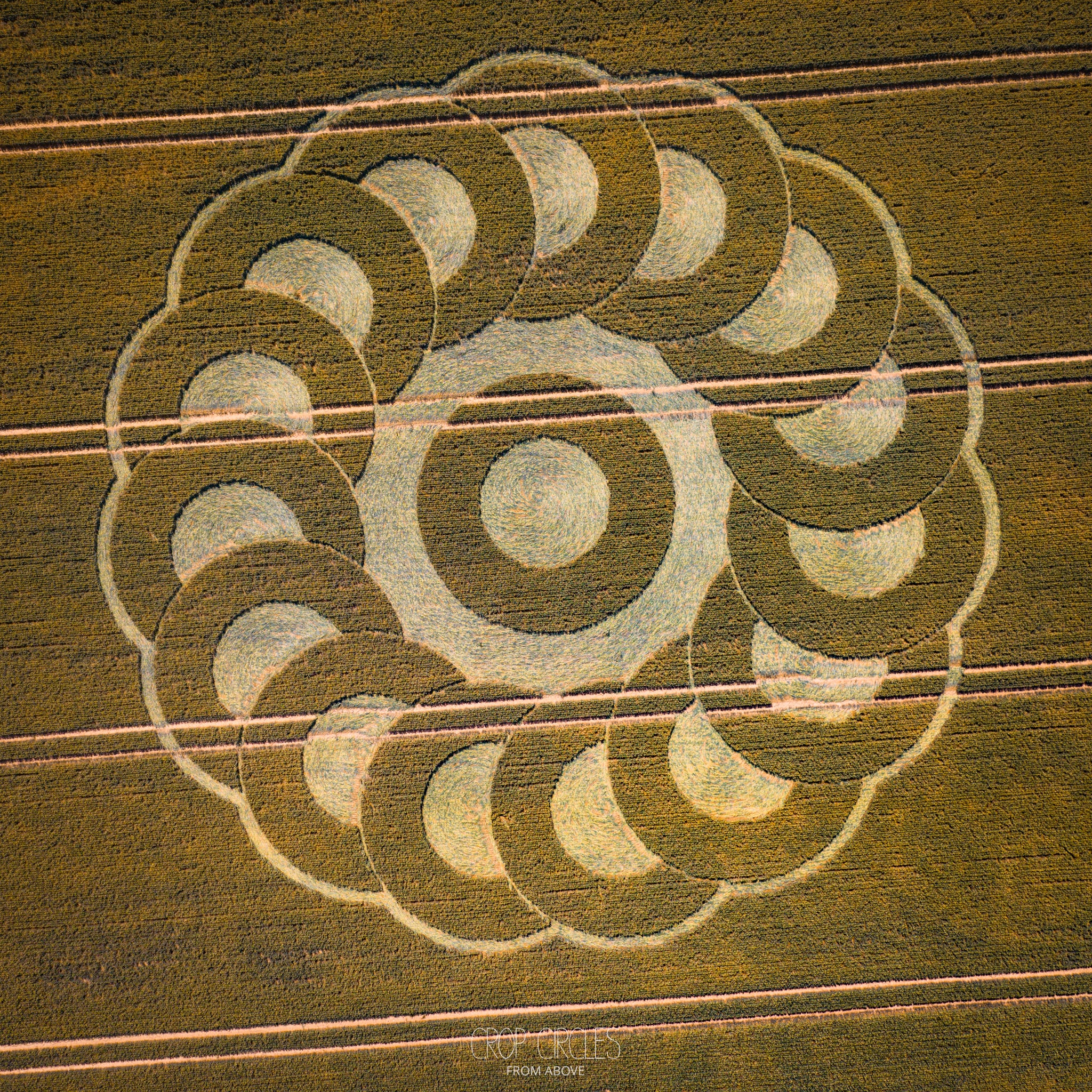 Crop Circle – Elliotts’s Shed, Nr Charlton, Wiltshire, UK (June 23, 2025)