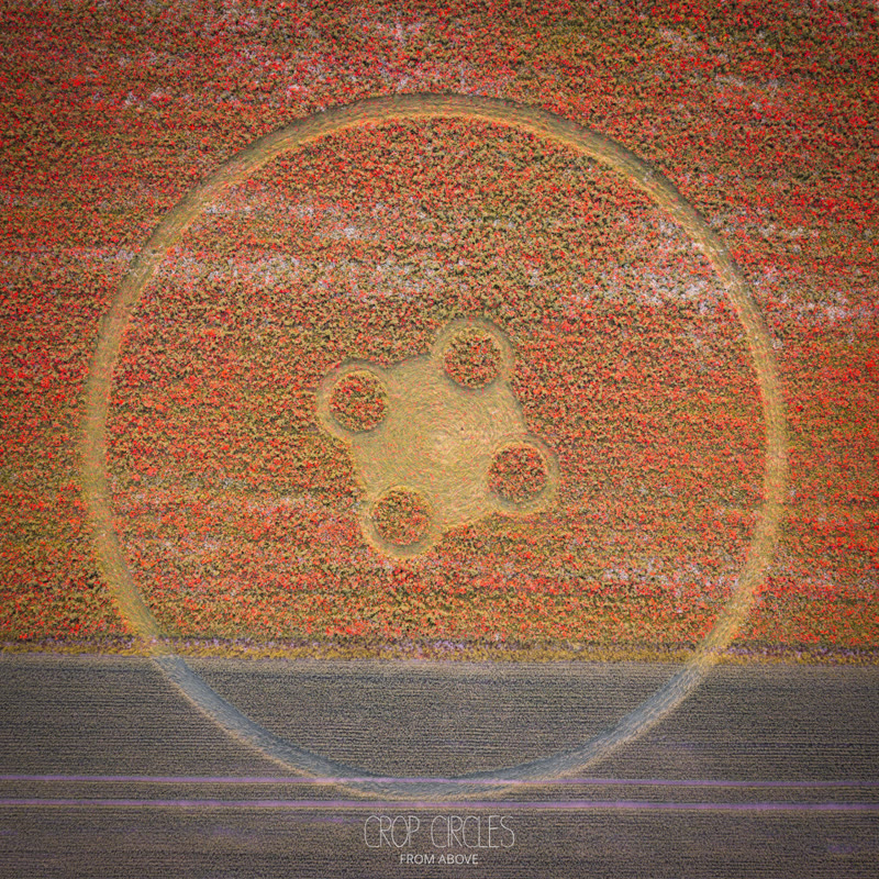 Crop Circle – Etchilhampton/Coate, Nr Devizes, Wiltshire, UK (June 24, 2026)