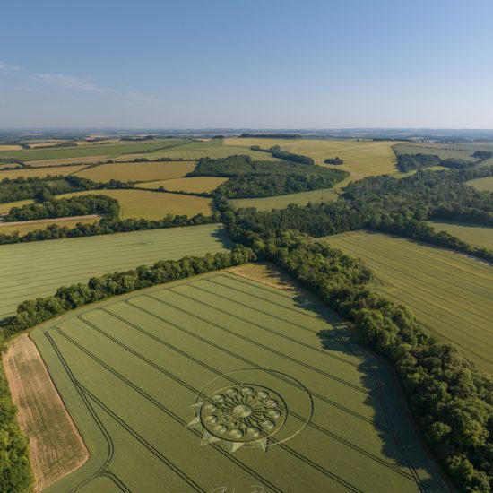Crop Circle – Allan King Way, Nr Owslebury, Hampshire, UKLocation: SU5295624573 (June 26, 2023)