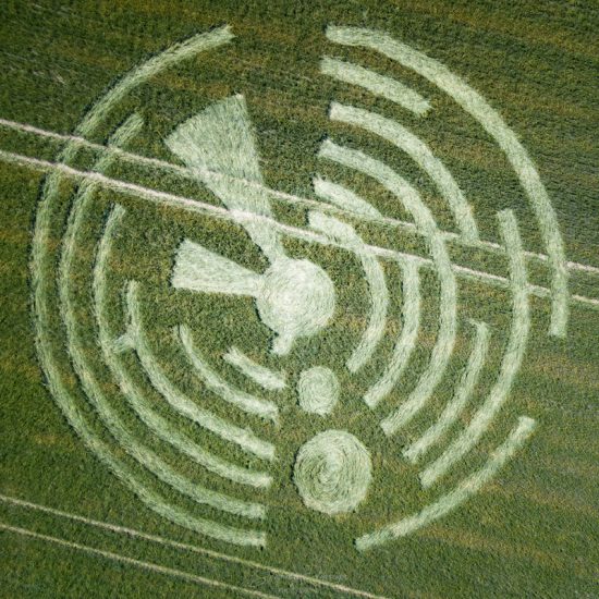 Crop Circle – Unknown Location (June 28, 2020)
