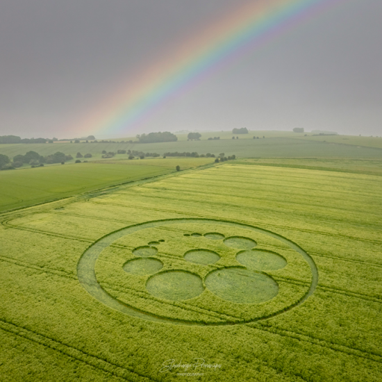 Crop Circle – Tidcombe down, Wiltshire, UK (June 28, 2021)